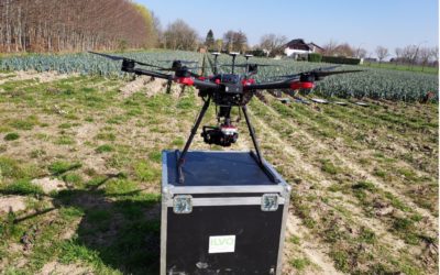 Use case: real-time onkruiddetectie met drones bij aardappel- en maïsgewassen